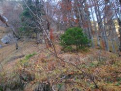 2013-10-26_Schildenstein (142).JPG